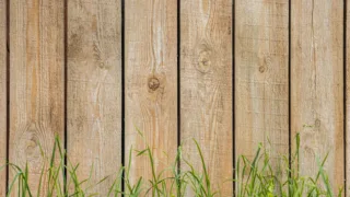 green grass beside brown wooden fence
