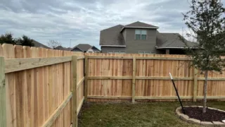 Wooden privacy fence enclosing a backyard with a young tree planted in a circular stone border.