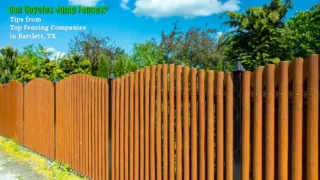 Tall wooden privacy fence with decorative black posts, surrounded by greenery, illustrating tips on preventing coyotes from jumping fences.