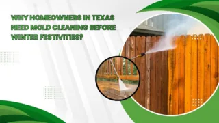 Professional pressure washing cleaning mold from wooden fence and deck in Texas before winter season