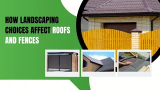 How Landscaping Choices Affect Roofs and Fences | Protect Your Property