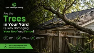 Large oak tree with overhanging branches extending over a residential asphalt shingle roof in Central Texas.
